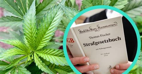 cannabis gesetzesentwurf